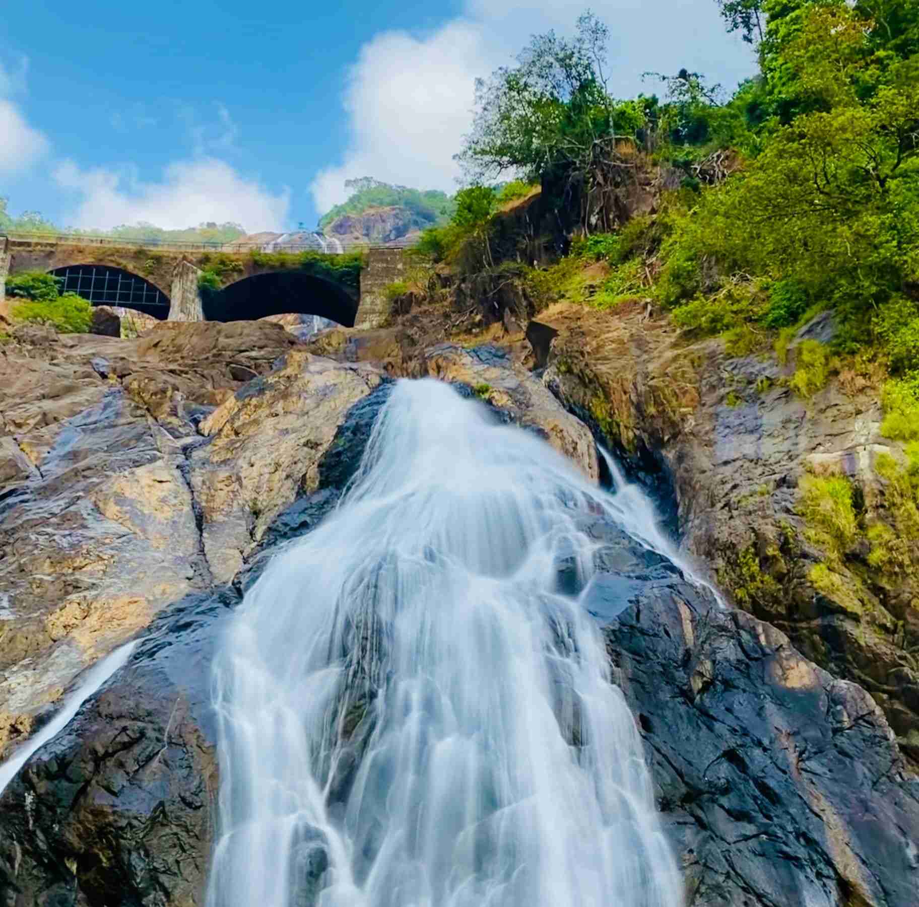 Dudhsagar Waterfalls: Your Ultimate Guide to Goa's Iconic WATERFALL ...